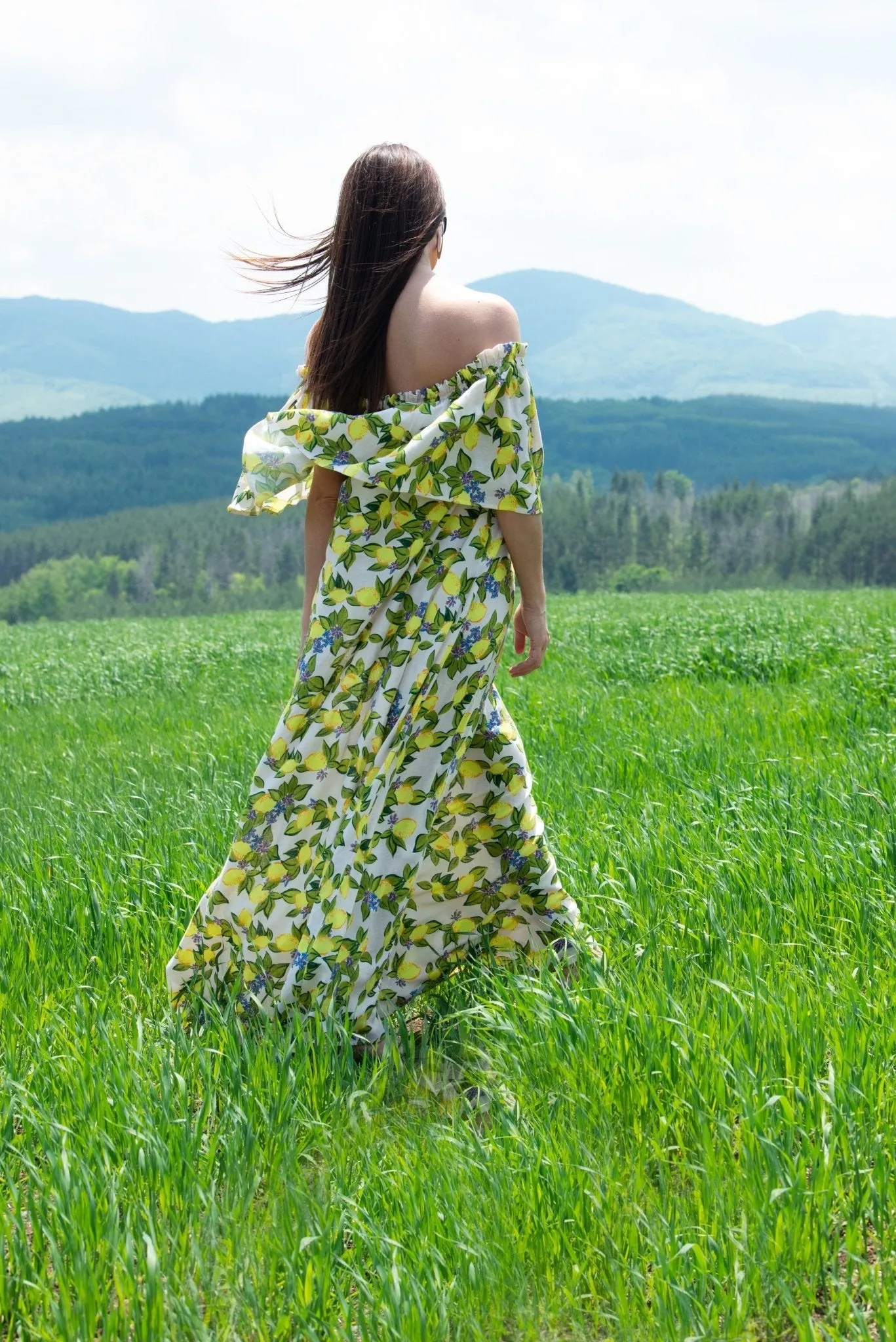 TARA Linen Off Shoulders Dress