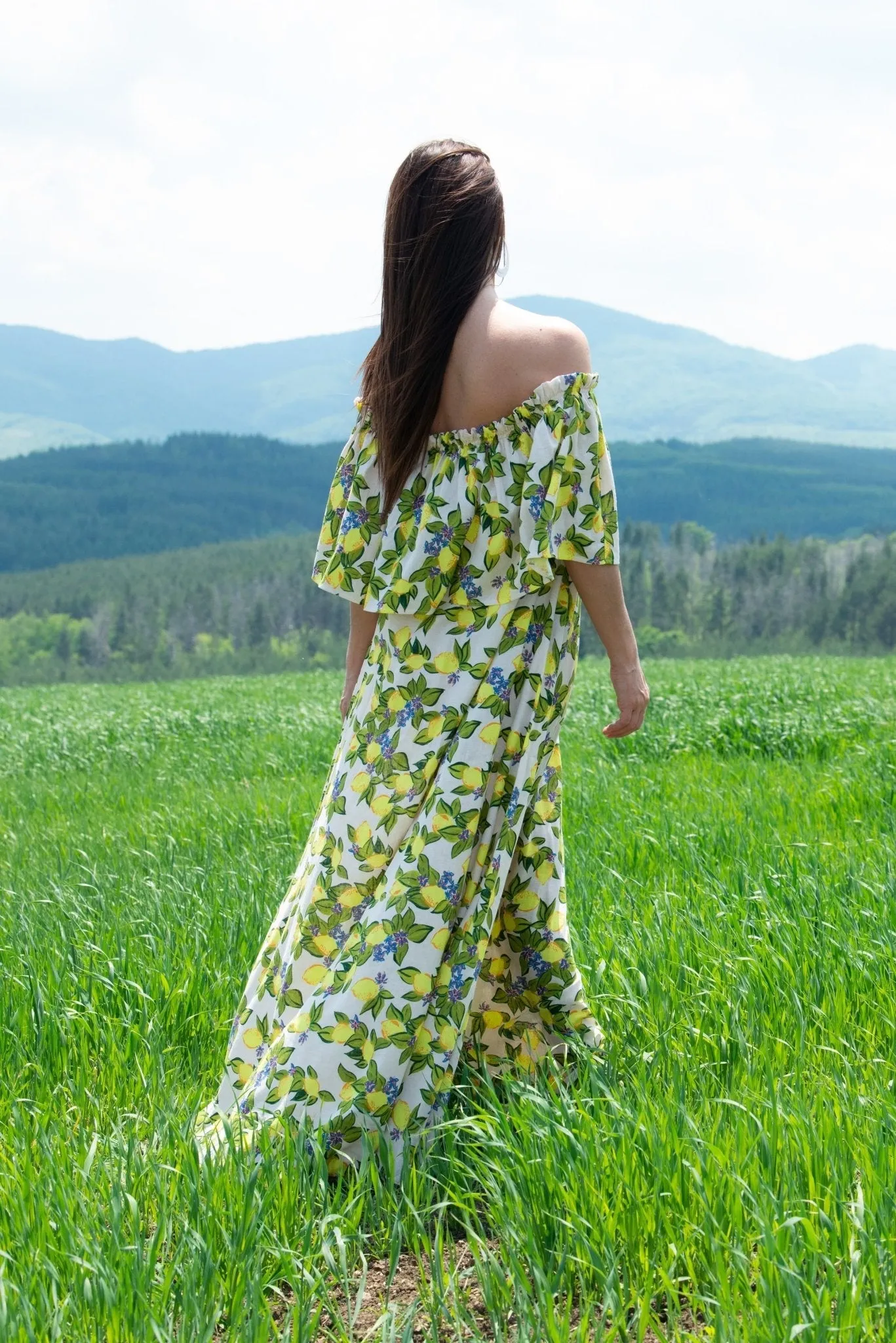 TARA Linen Off Shoulders Dress